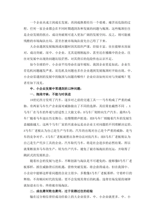 中小企业发展的主要典型问题 -