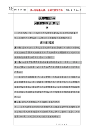 某某投资有限公司风险控制指