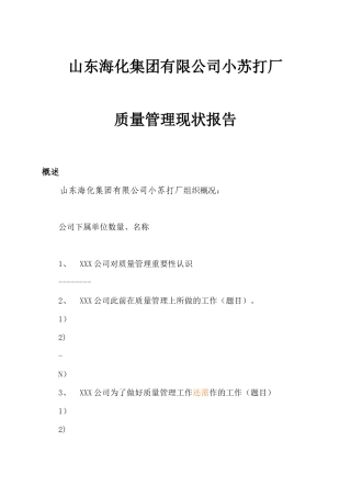 质量管理现状报告