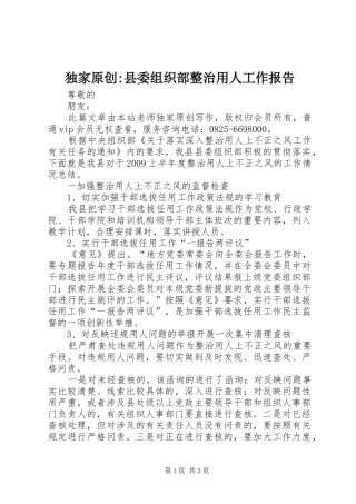 独家原创-县委组织部整治用人工作报告