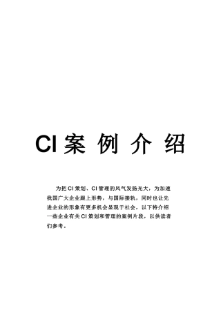 CI 案 例 介 绍广东恒丰投资集团有限公司(doc 14)