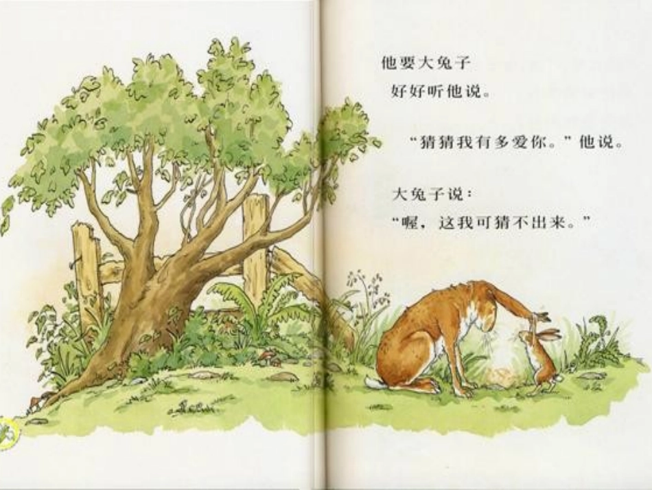 猜猜我有多爱你绘本李李_第3页