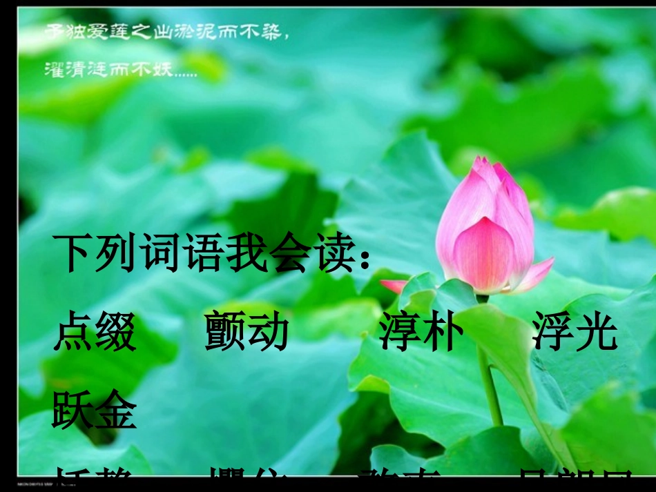 荷塘旧事刘建云_第3页
