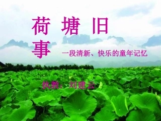 荷塘旧事刘建云