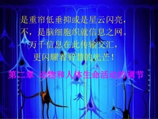 3211通过神经系统的调节