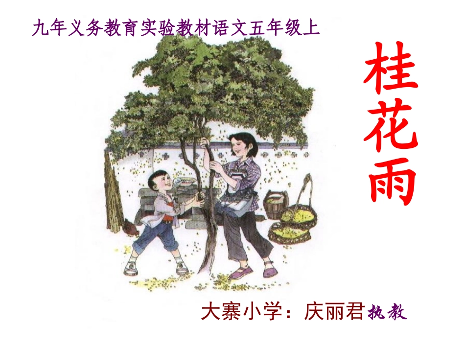 人教版小学五年级语文桂花雨-课件[1]_第1页