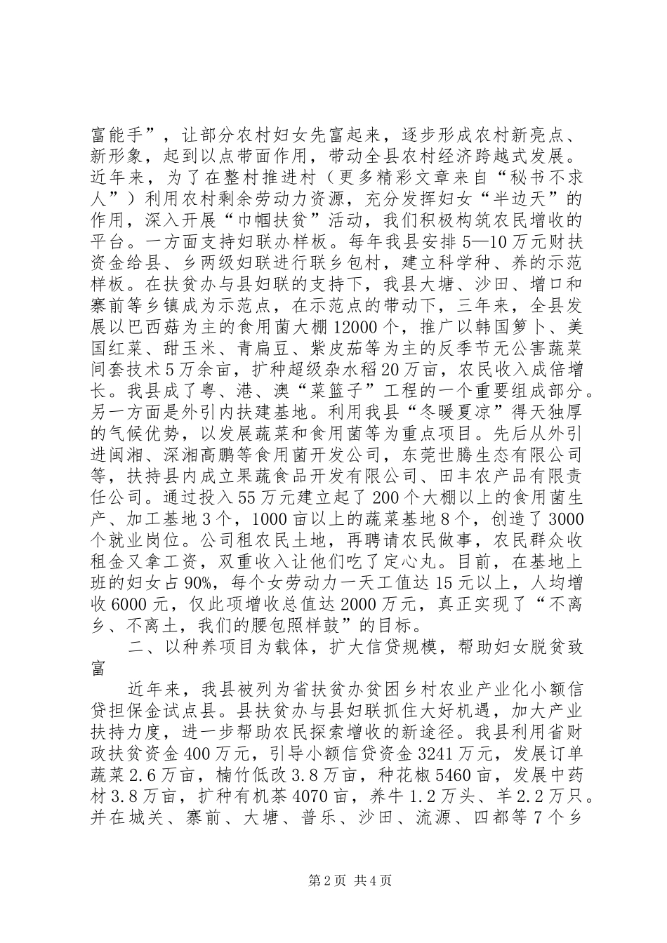 扶贫汇报：认真贯彻“一体两翼”战略　积极搭建“巾帼扶贫”平台_第2页