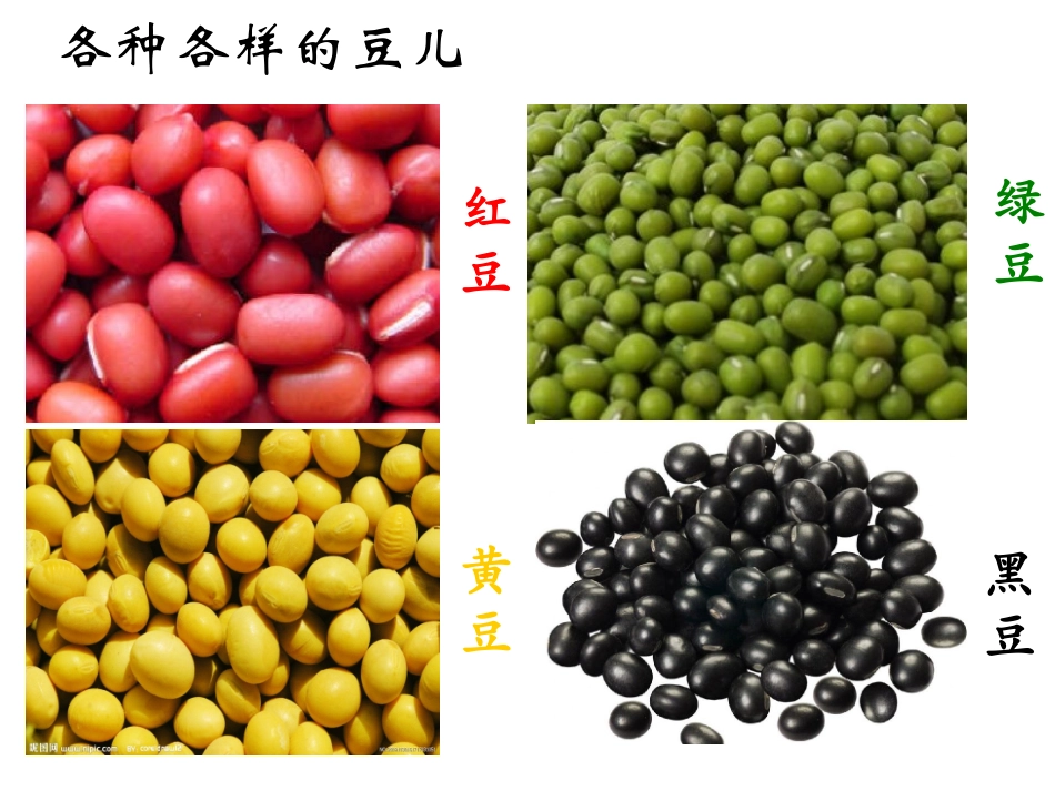 豆儿圆-蔡瑞娟_第3页