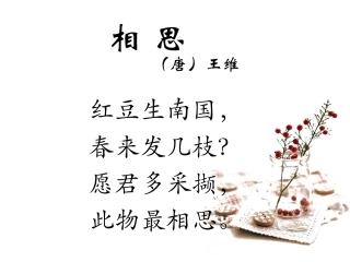豆儿圆-蔡瑞娟