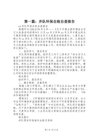 第一篇：井队环保自检自查报告