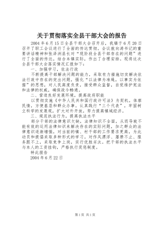 关于贯彻落实全县干部大会的报告