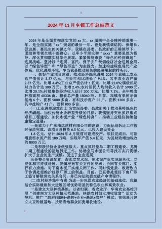 2024年11月乡镇工作总结范文