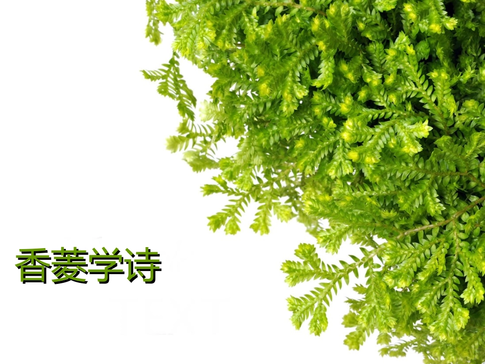 《香菱学诗》课件_第2页