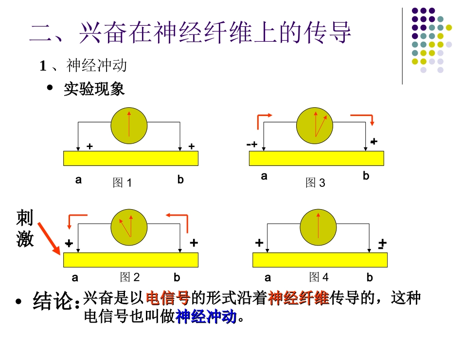 通过神经系统调节2课时_第2页