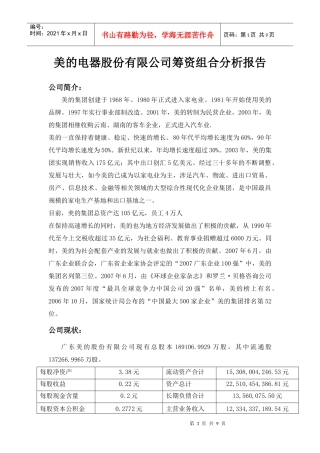 某公司筹资组合管理及财务知识分析报告