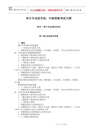 审计专业技术初、中级资格考试大纲