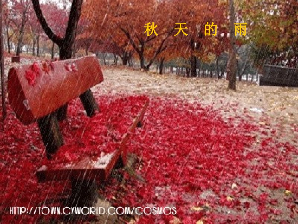 《秋天的雨》课件_第3页