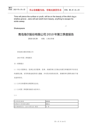 Dprysca青岛海尔股份有限公司XXXX年财务报表
