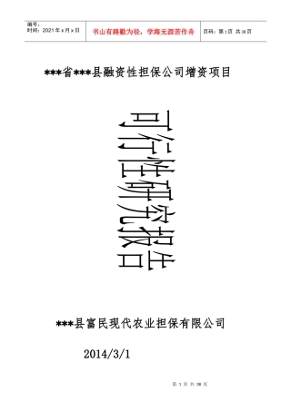 某县融资性担保公司增资项目可行性研究报告