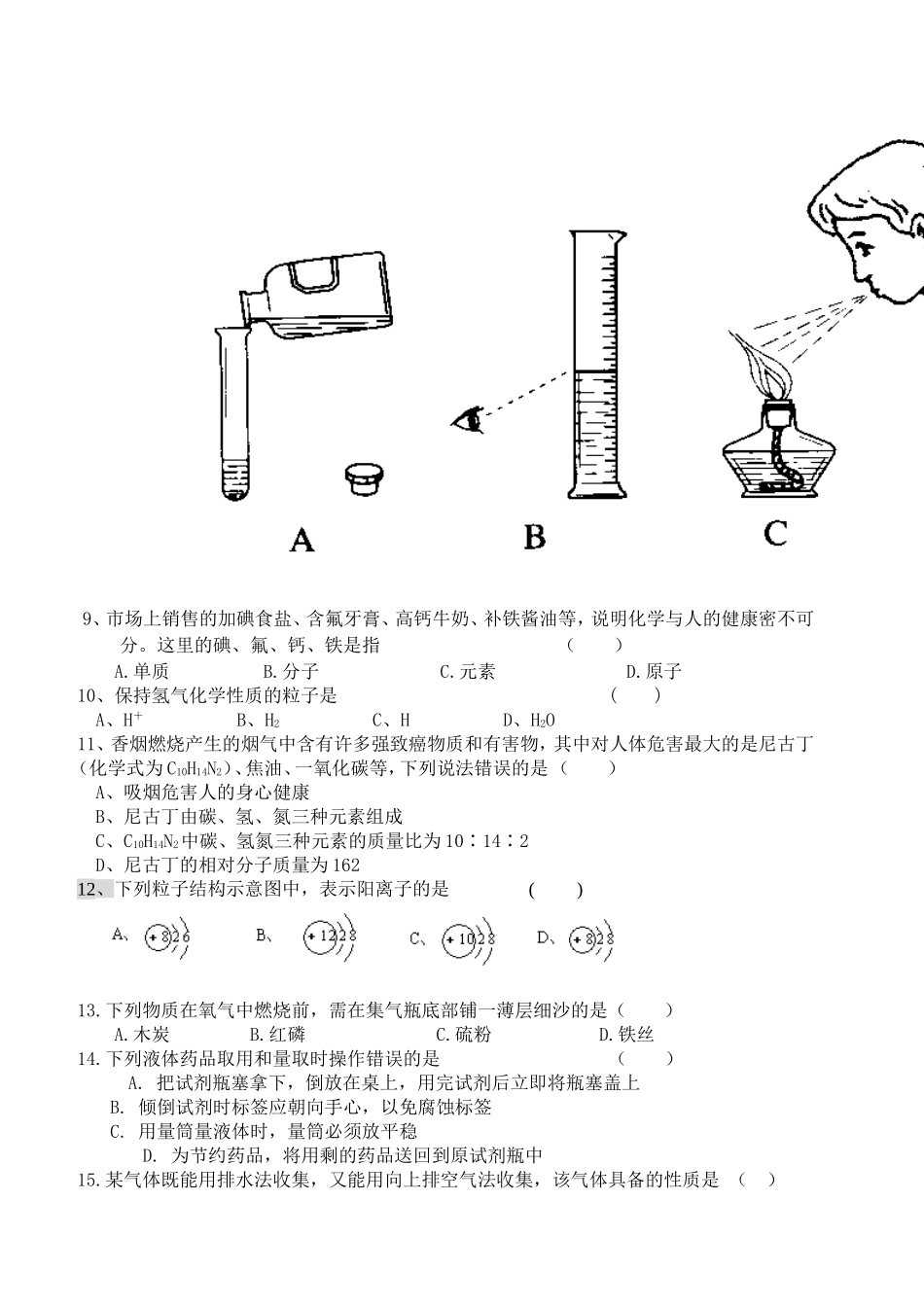 大湾中学2010年九年级化学(上)期中试卷2_第2页