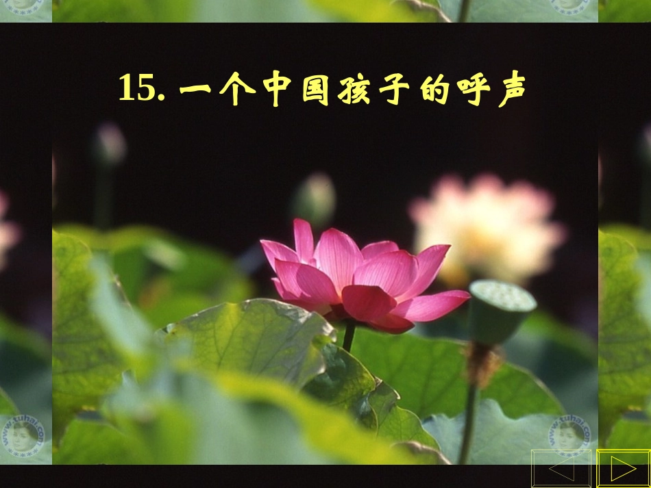 一个中国孩子的呼声_第3页