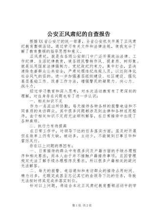 公安正风肃纪的自查报告