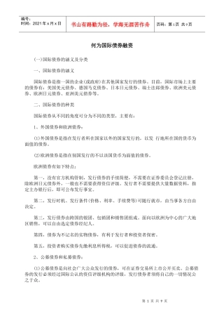 何为国际债券融资