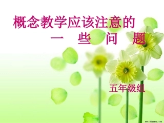 概念教学应该注意的一些问题-副本