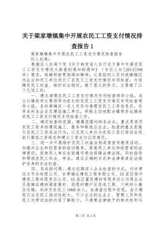 关于梁家墩镇集中开展农民工工资支付情况排查报告1