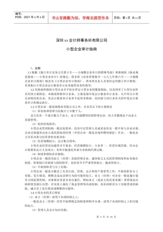 深圳某公司小型企业审计指南