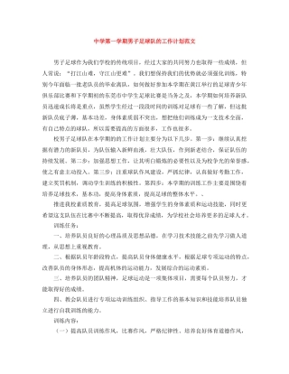 第一学期男子足球队的工作计划范文 