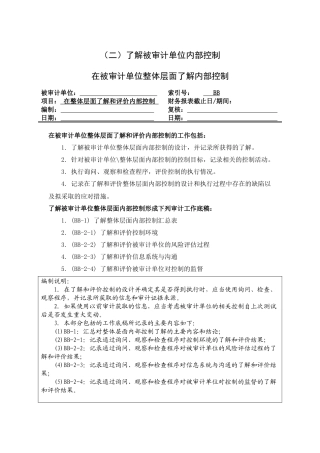 在被审计单位整体层面了解内部控制