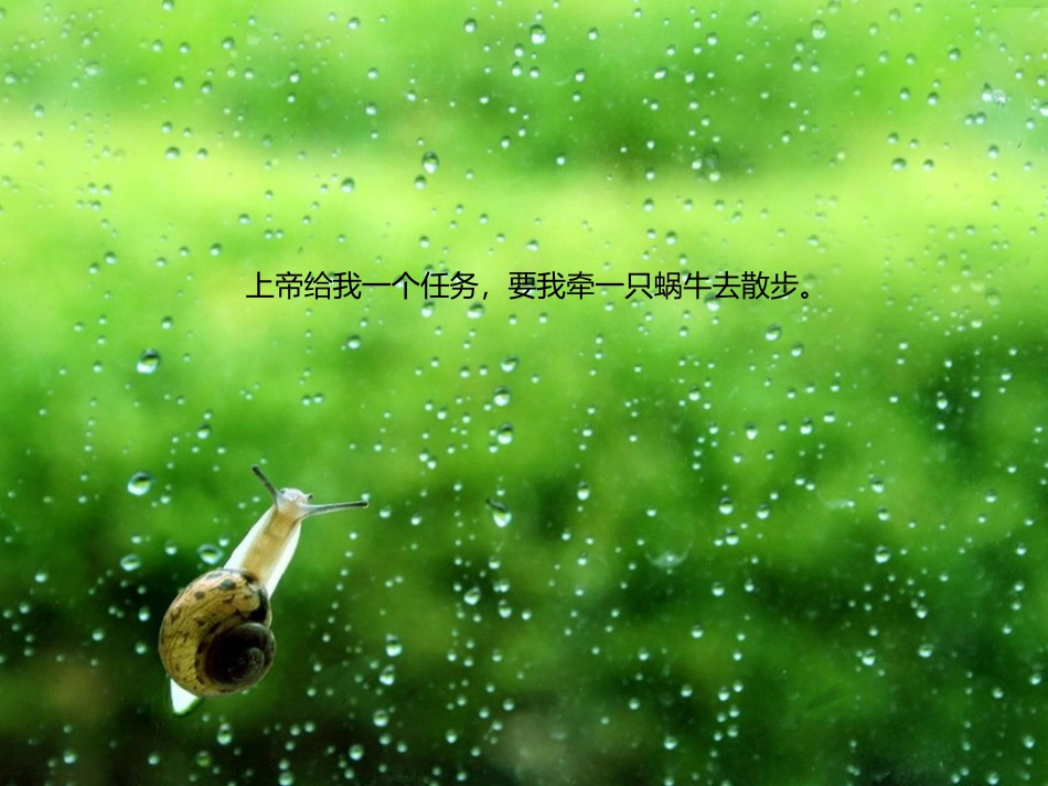 和蜗牛一起去散步_第2页