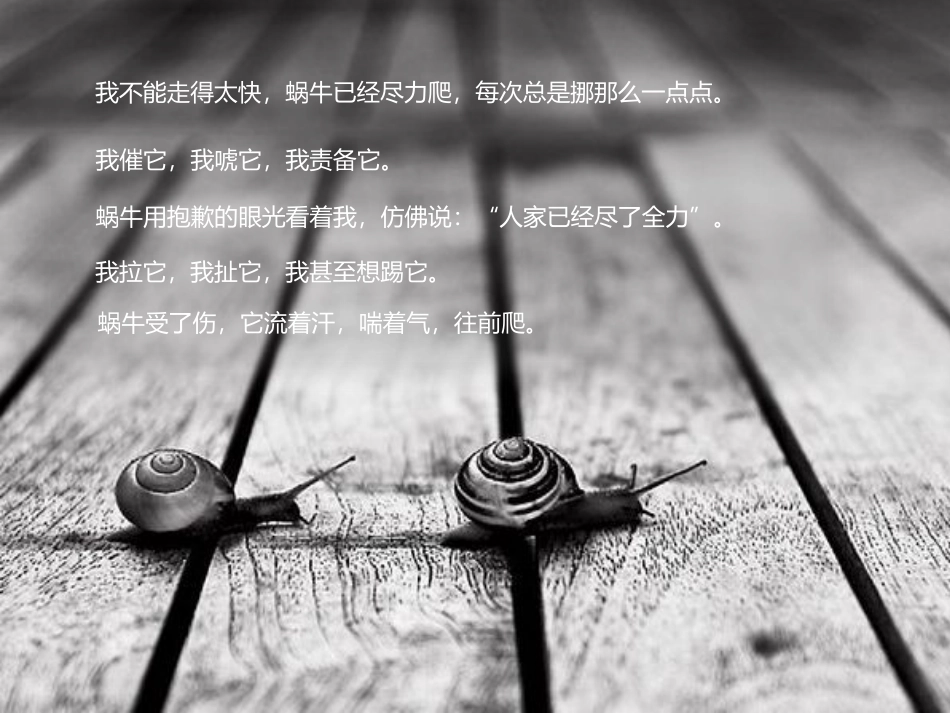 和蜗牛一起去散步_第3页