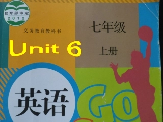 新目标七年级上Unit6Doyoulikebananas（课件与教案）