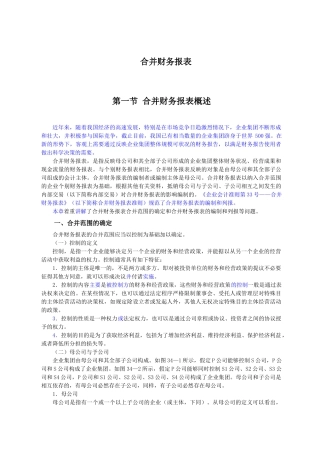 合并财务报表详细概述