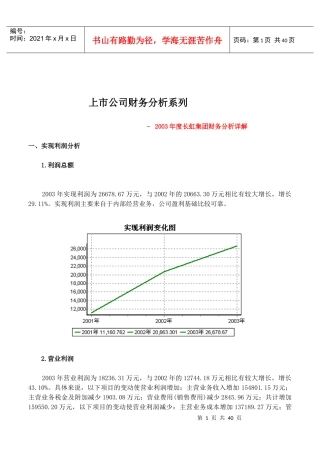 长虹集团年度财务分析详解