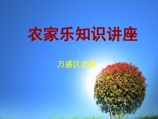 农家乐经营培训(1)