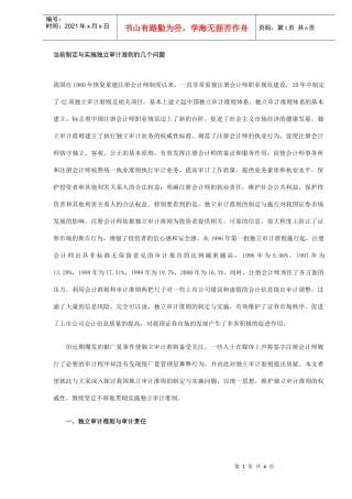 制定独立审计准则问题分析(DOC 6)