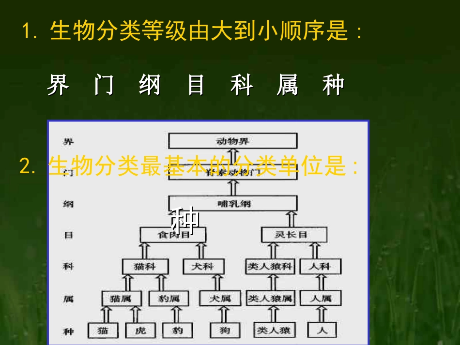人教八上第二章认识生物的多样性2_第1页