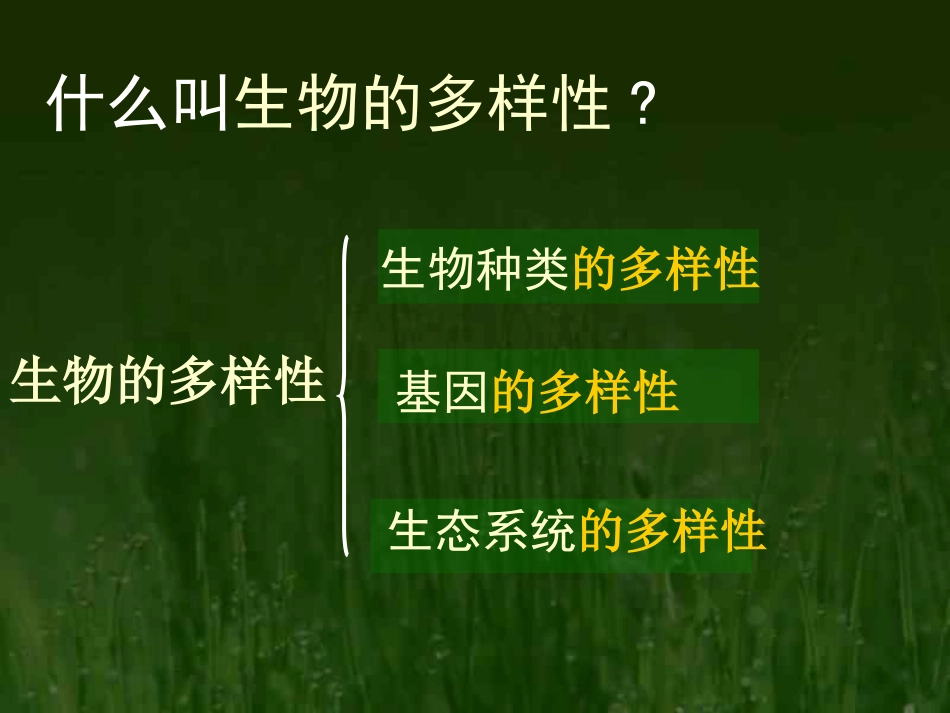 人教八上第二章认识生物的多样性2_第3页