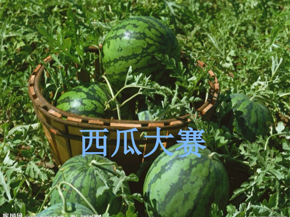 认识克和千克马潇潇_第1页