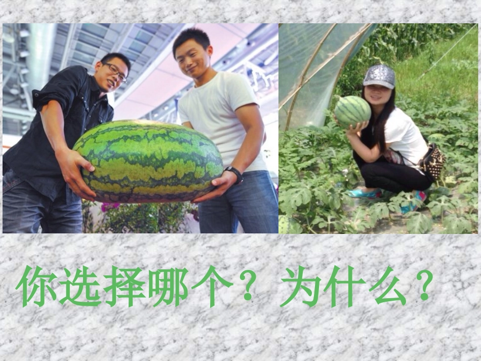 认识克和千克马潇潇_第3页