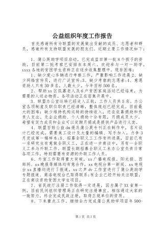 公益组织年度工作报告