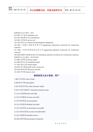 新准则英文会计报表大全