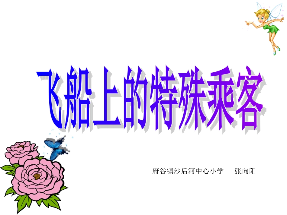 飞船上的特殊乘客_第1页