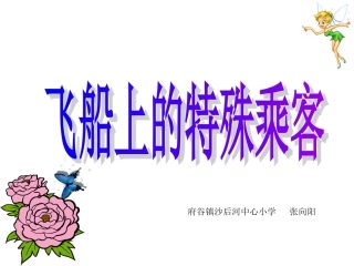 飞船上的特殊乘客