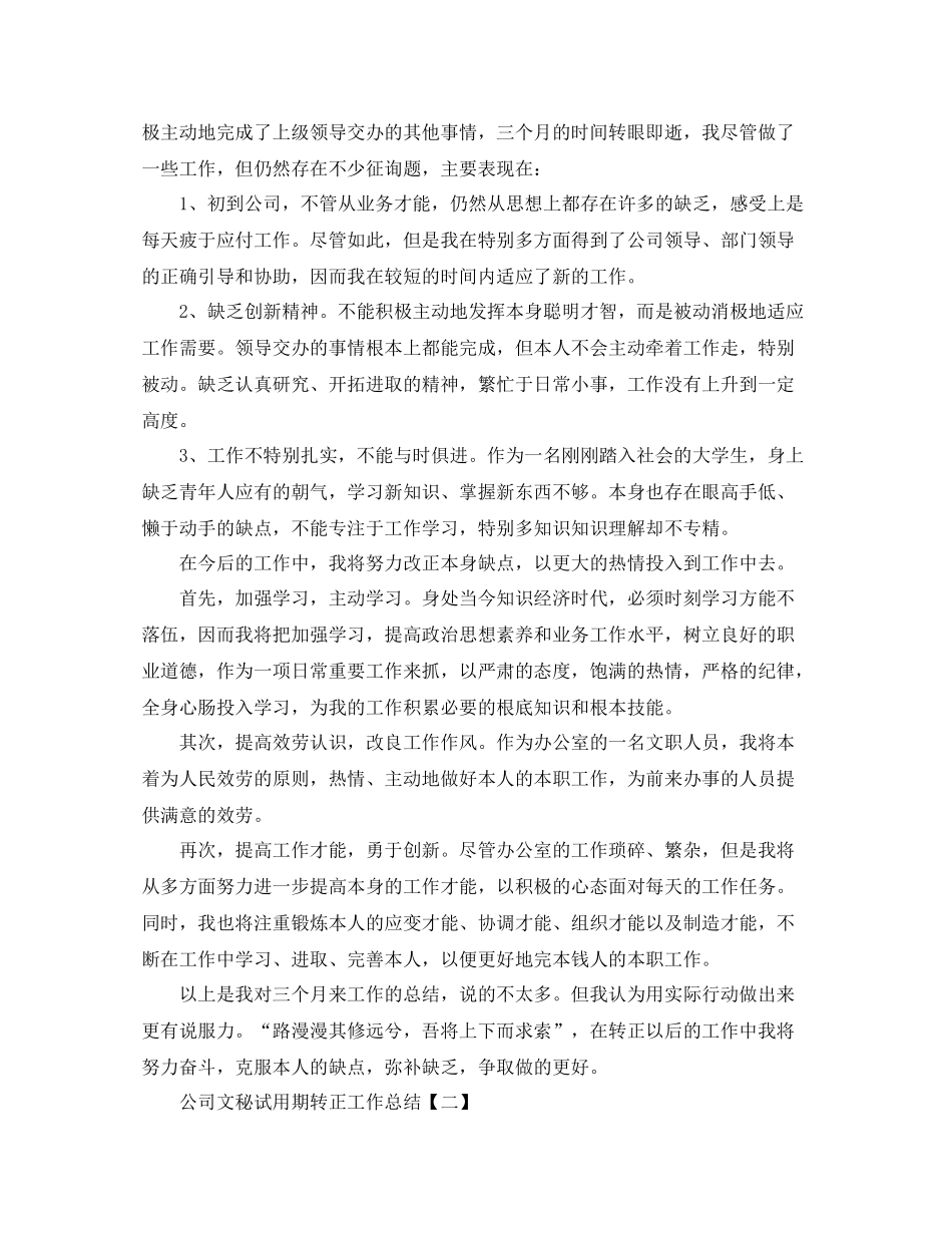 公司文秘试用期转正工作参考总结范本_第2页