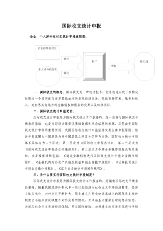 国际收支统计申报
