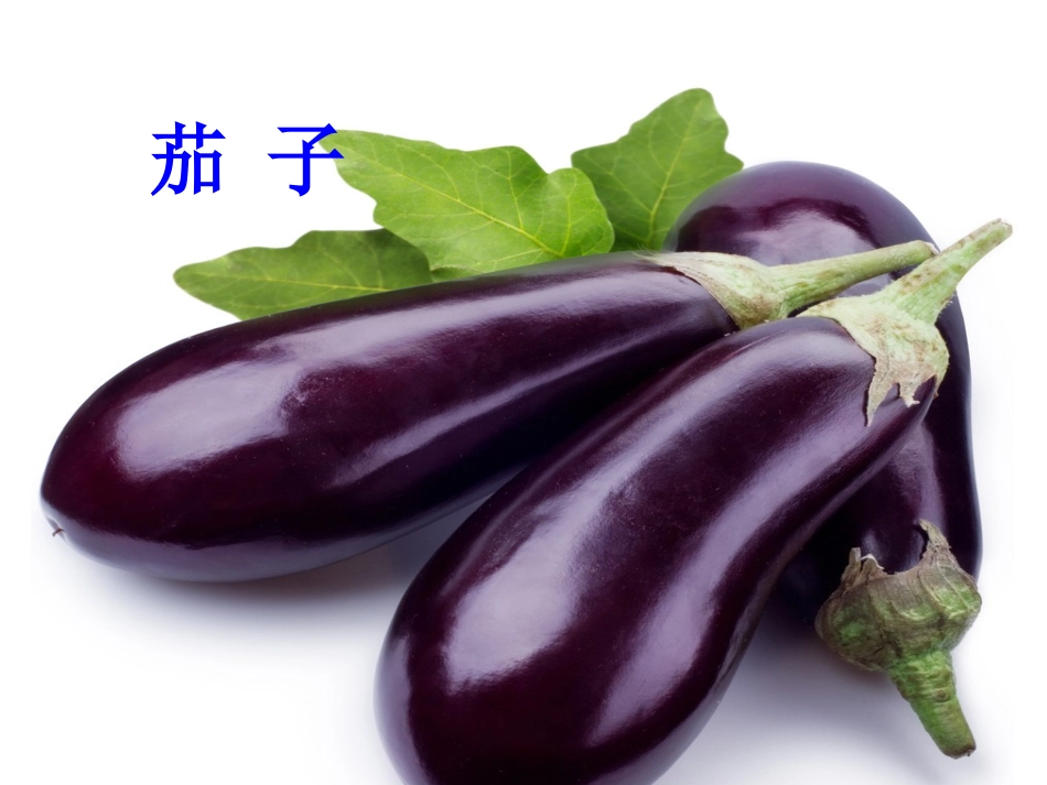 人教版小学一年级语文上册《菜园里》课件_第2页